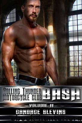 Bash, Volume II by Candace Blevins