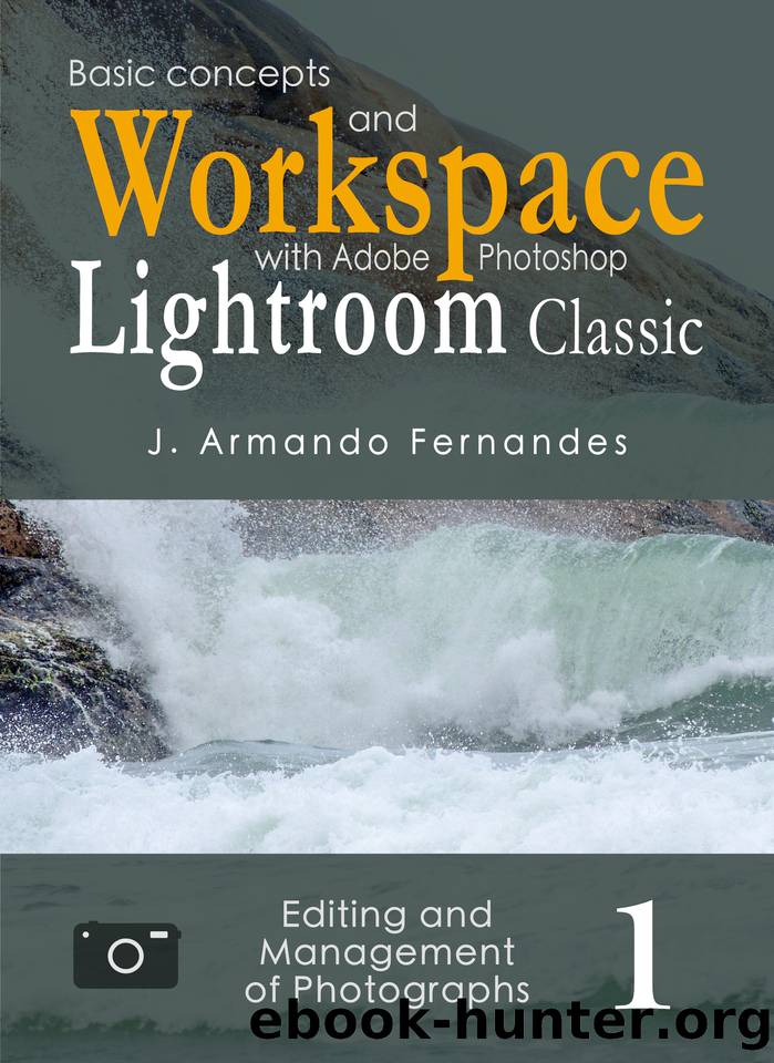 Basic Concepts and Workspace: with Adobe Photoshop Lightroom Classic Software (Editing and Management of Photographs Book 1) by Fernandes J. Armando