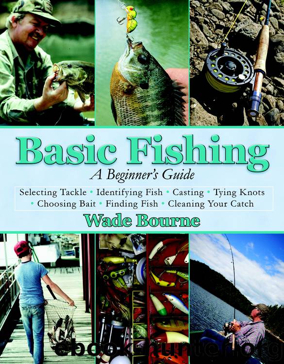 Basic Fishing by Wade Bourne
