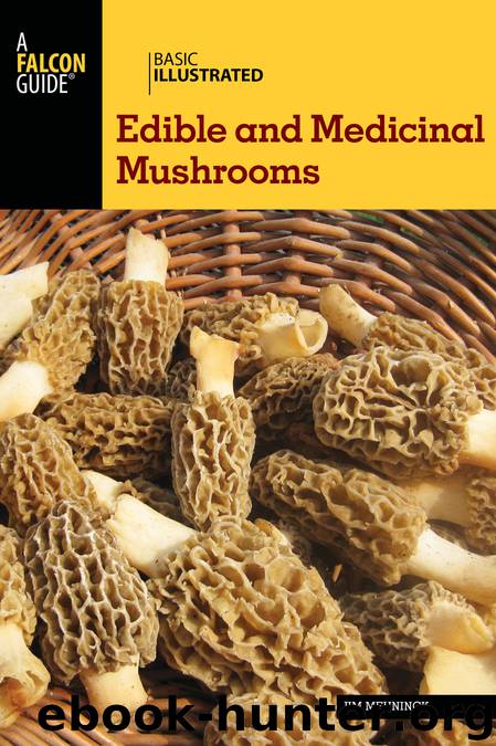 Basic Illustrated Edible and Medicinal Mushrooms by Jim Meuninck