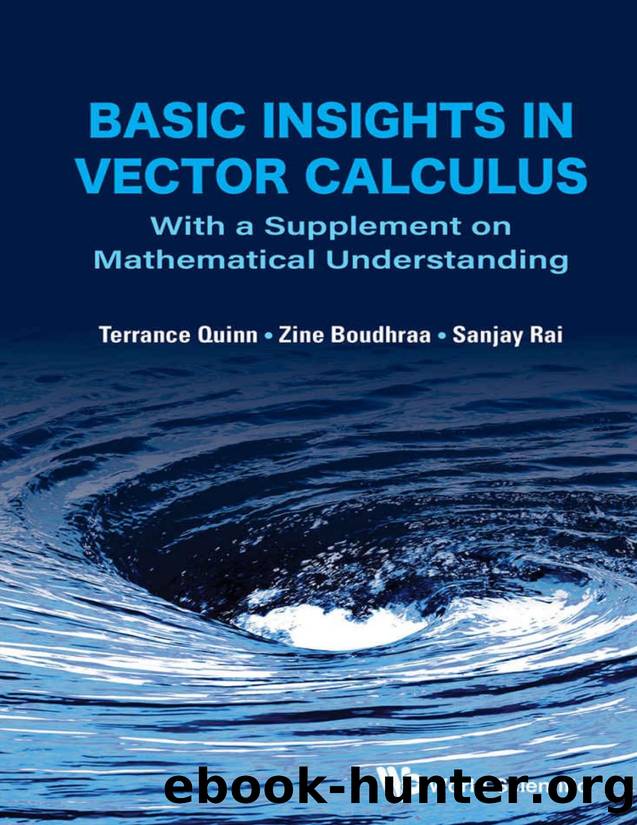 Basic Insights In Vector Calculus: With A Supplement On Mathematical Understanding by Terrance J Quinn & Zine Boudhraa & Sanjay Rai