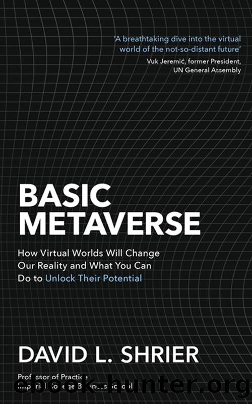 Basic Metaverse by David L Shrier