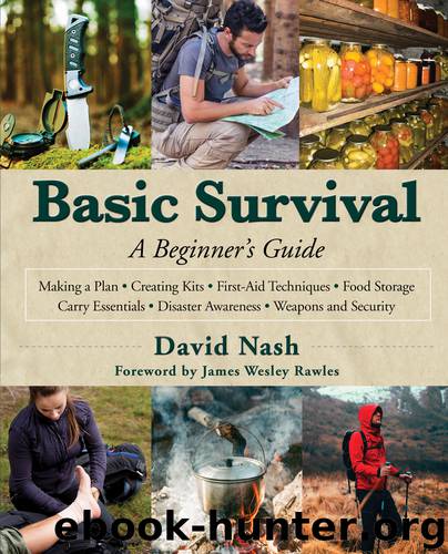 Basic Survival by David Nash