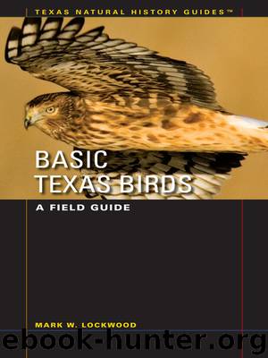 Basic Texas Birds by Mark W. Lockwood