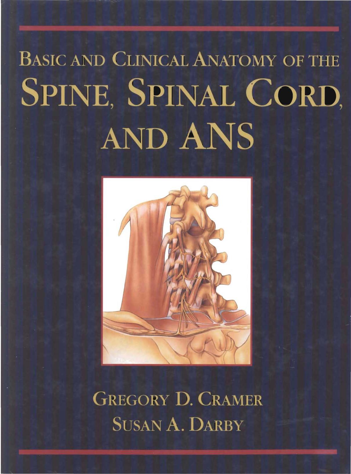 Basic and Clinical Anatomy of the Spine, Spinal Cord, and Ans by Gregory D. Cramer Susan A. Darby