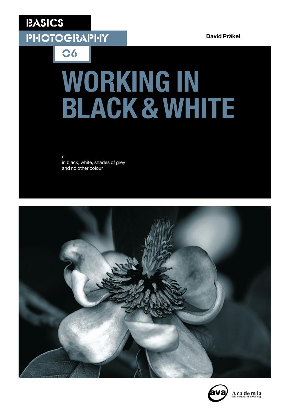Basics Photography: Working in Black & White by David Prakel