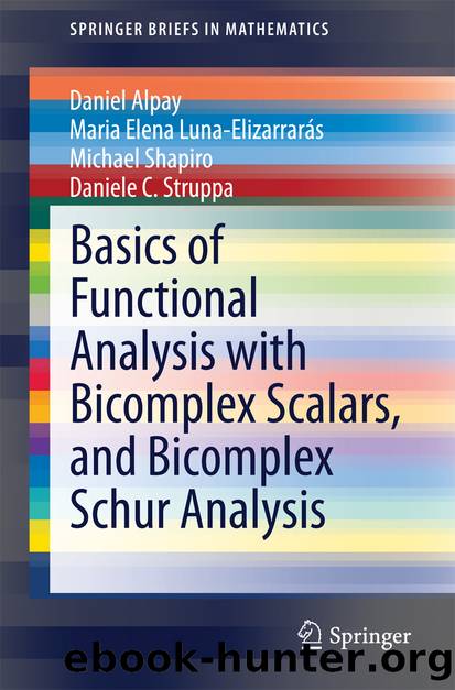 Basics of Functional Analysis with Bicomplex Scalars, and Bicomplex Schur Analysis by Daniel Alpay Maria Elena Luna-Elizarrarás Michael Shapiro & Daniele C. Struppa