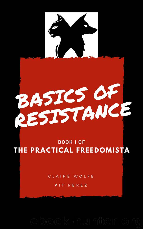Basics of Resistance: The Practical Freedomista, Book I by Perez Kit & Wolfe Claire