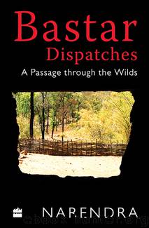 Bastar Dispatches by Narendra