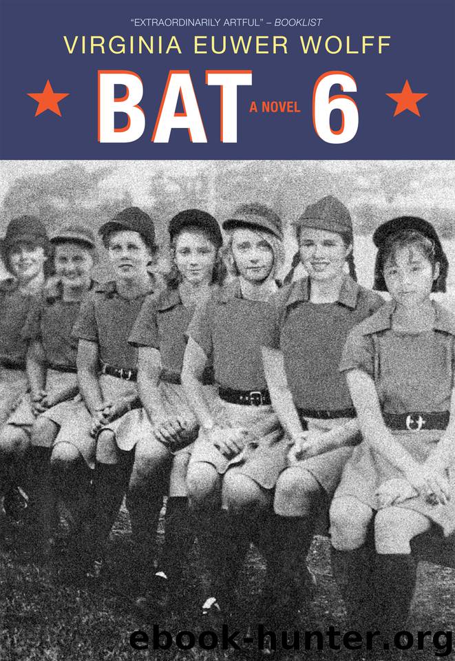 Bat 6 by Virginia Euwer Wolff