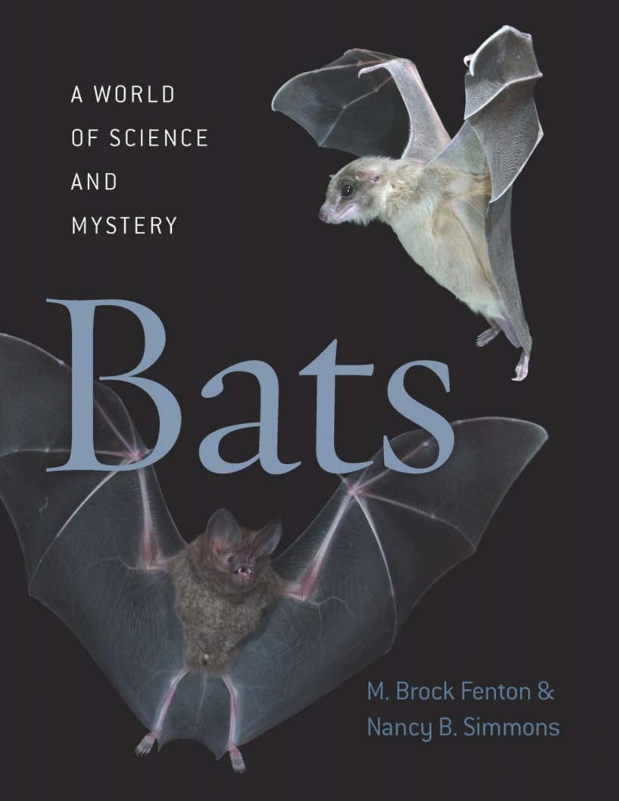 Bats: A World of Science and Mystery by M. Brock Fenton and Nancy B. Simmons