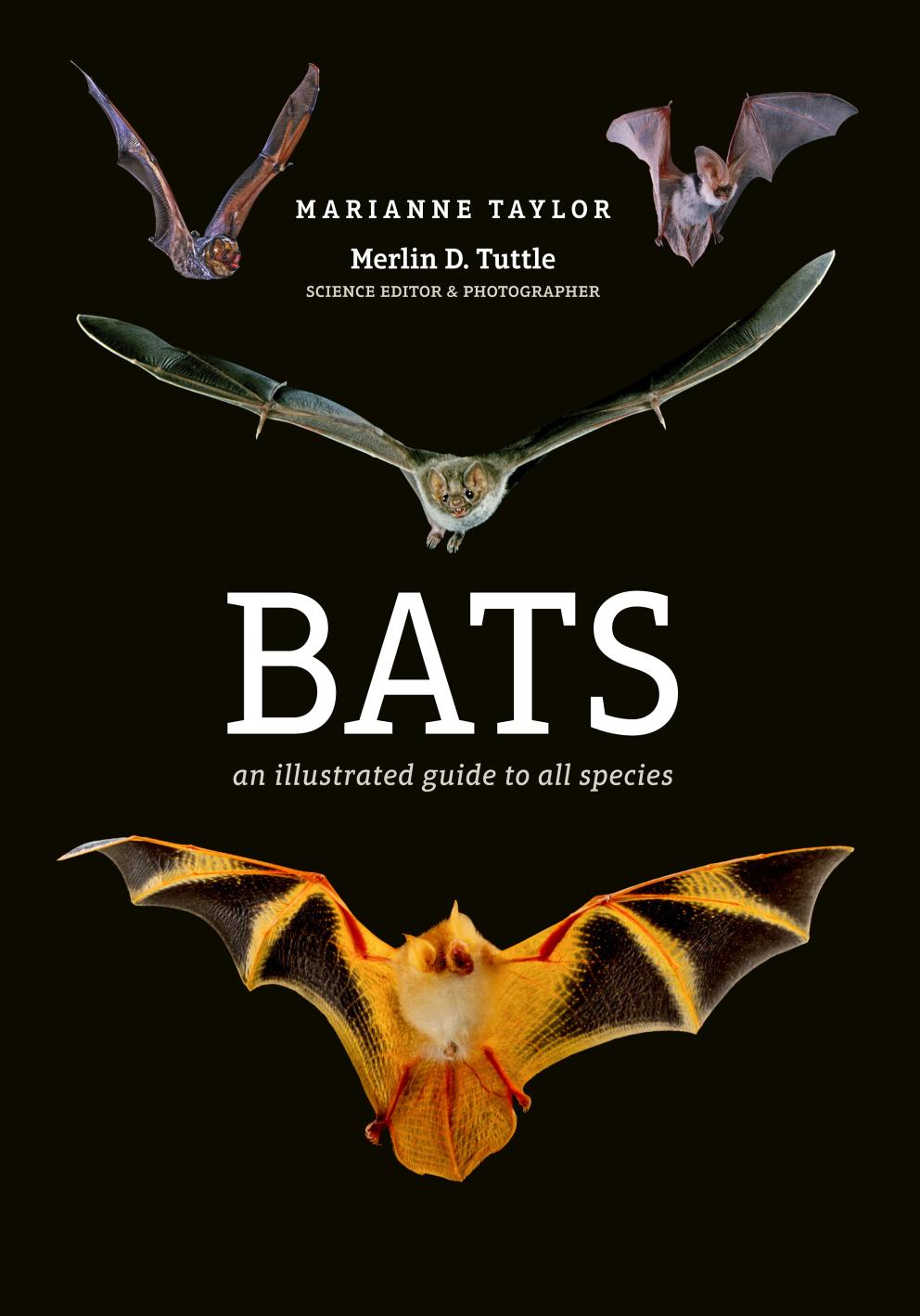 Bats: An Illustrated Guide to All Species by Marianne Taylor