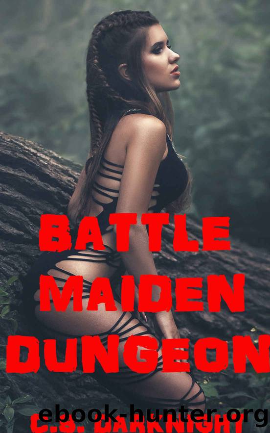 Battle Maiden Dungeon (Book One): A Cultivation Gamelit Litrpg Harem Adventure by Darknight C.S