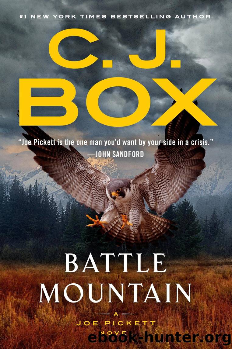Battle Mountain by C.J. Box