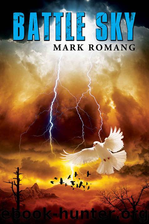 Battle Sky (The Battle Series, Book 4) by Romang Mark