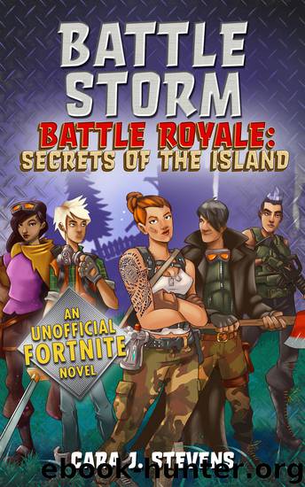 Battle Storm by Cara J. Stevens