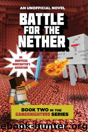 Battle for the Nether by Mark Cheverton