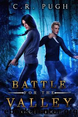 Battle for the Valley by C R Pugh