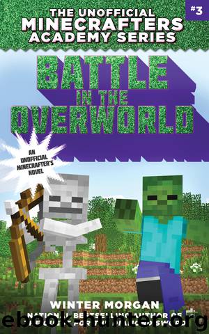 Battle in the Overworld by Winter Morgan