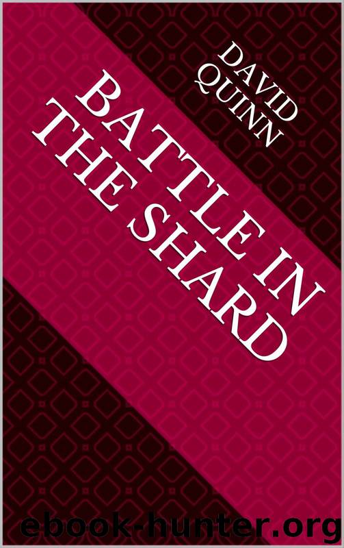 Battle in the Shard by David Quinn