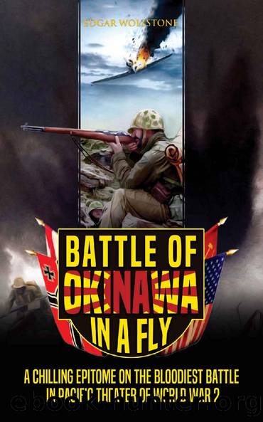 Battle of Okinawa, in a Fly: A Chilling Epitome on the Bloodiest Battle in Pacific Theater of World War 2 (War Classics In a Fly Book 4) by Edgar Wollstone