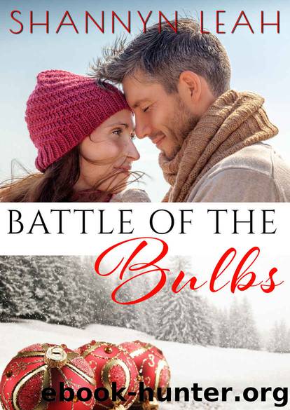 Battle of the Bulbs (Holidays in Willow Valley Book 1) by Shannyn Leah