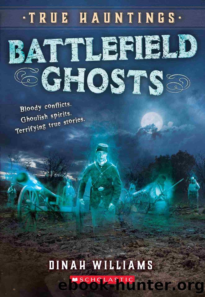 Battlefield Ghosts by Dinah Williams