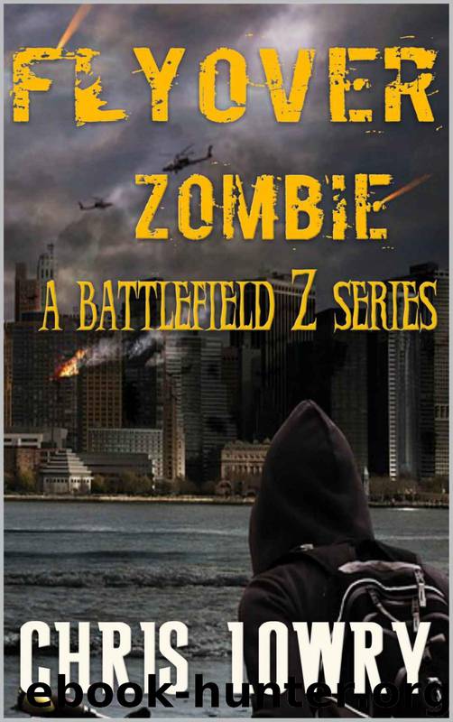 Battlefield Z Series 2 (Book 1): Flyover Zombie by Lowry Chris