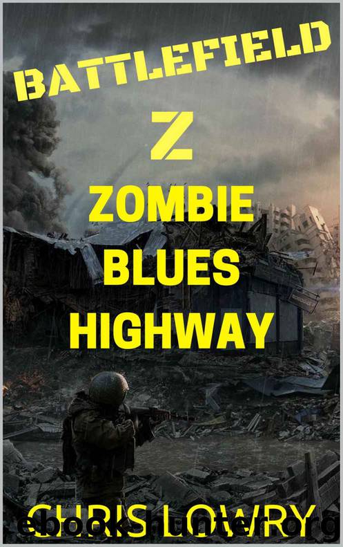 Battlefield Z Zombie Blues Highway by Lowry Chris