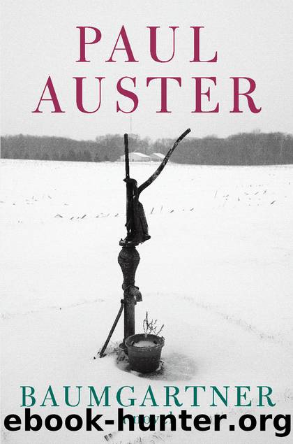 Baumgartner by Paul Auster