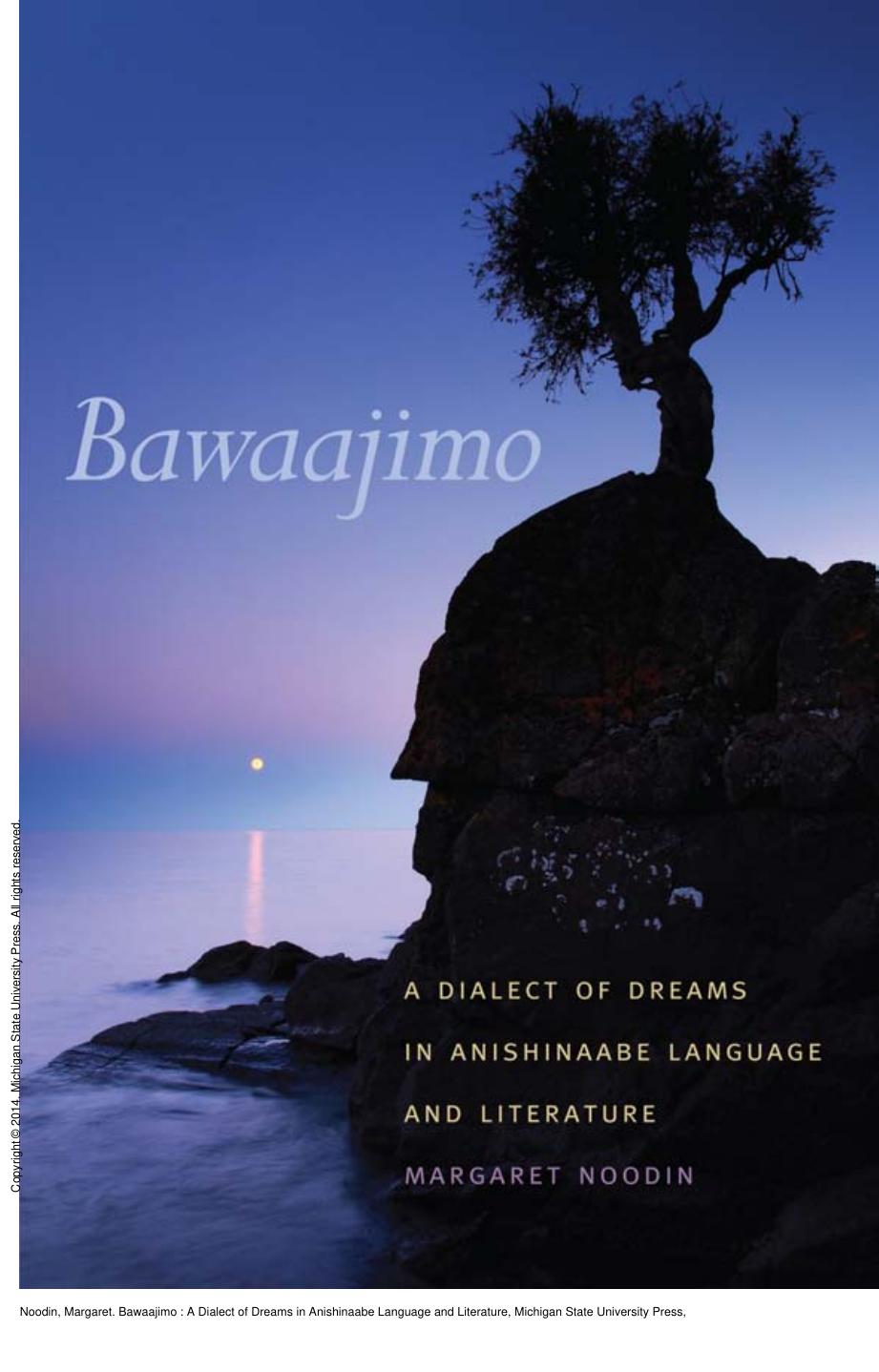 Bawaajimo : A Dialect of Dreams in Anishinaabe Language and Literature by Margaret Noodin