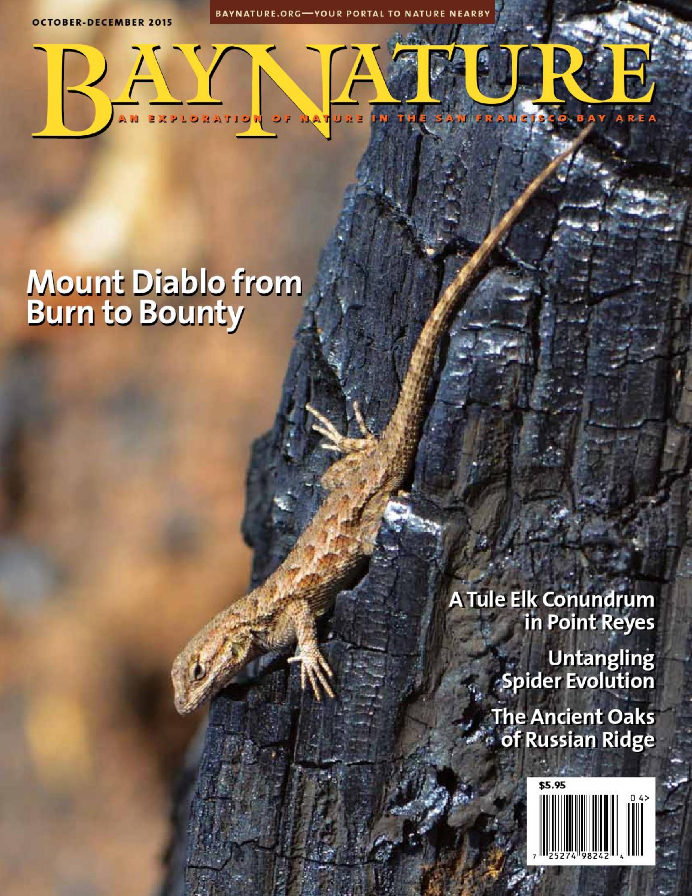 Bay Nature Magazine - July-September 2016 by Unknow