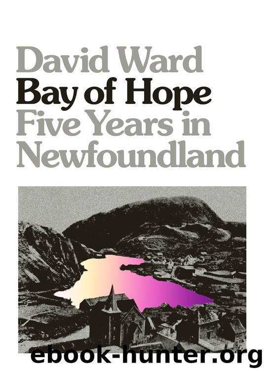Bay of Hope by David Ward