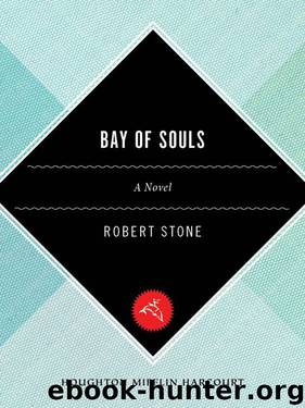 Bay of Souls: A Novel by Stone Robert