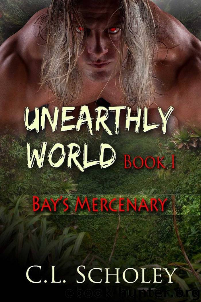 Bay's Mercenary by C.L. Scholey