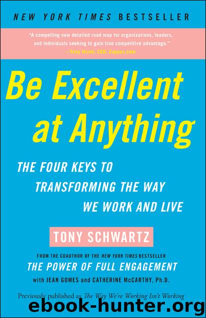 Be Excellent at Anything by Tony Schwartz