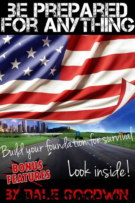 Be Prepared for Anything: Build your foundation for survival by Dale Goodwin