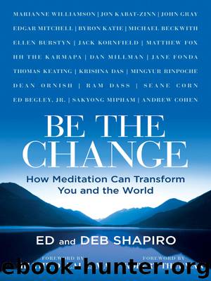 Be the Change by Ed Shapiro