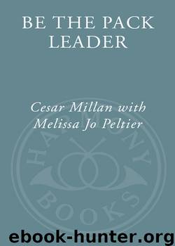 Be the Pack Leader by Cesar Millan