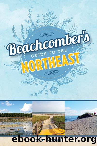 Beachcomber's Guide to the Northeast by Dan Tobyne