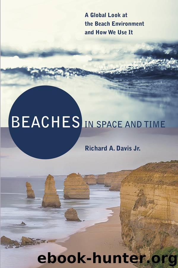 Beaches in Space and Time by Dr. Richard A. Davis Jr
