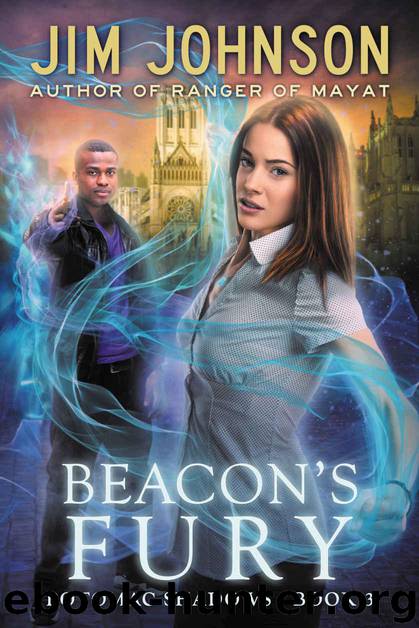 Beacon's Fury (Potomac Shadows Book 3) by Johnson Jim