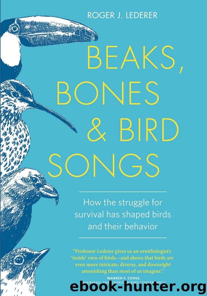 Beaks, Bones, and Bird Songs by Roger Lederer