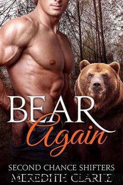 Bear Again (Second Chance Shifters 3) by Meredith Clarke & Ally Summers