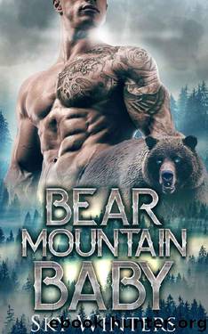 Bear Mountain Baby: Shifter Romance (Bear Mountain Shifters) by Sky Winters