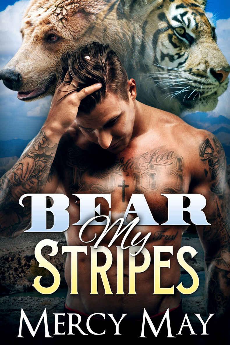 Bear My Stripes: M/M Mpreg Shifter Romance (Furbidden Mates Book 2) by Mercy May
