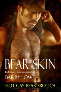Bear Skin: Hot Gay Bear Erotica by Lowe Barry