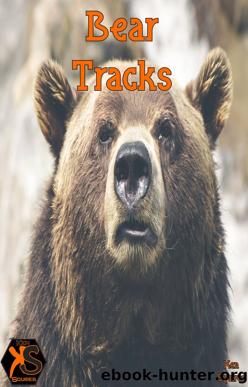 Bear Tracks by Ken Squires