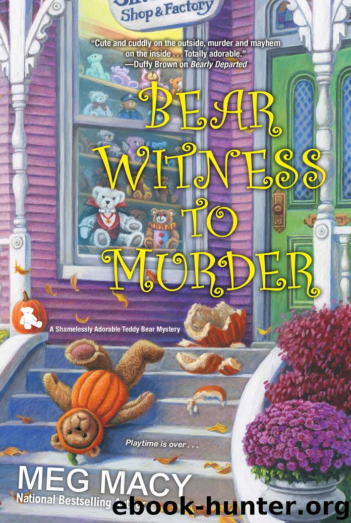 Bear Witness to Murder by Meg Macy