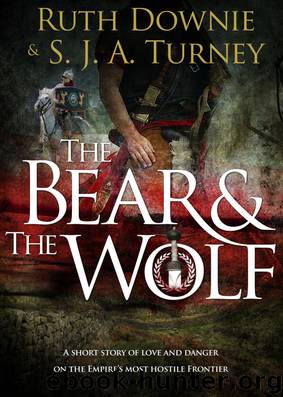 Bear and the Wolf by S.J.A. Turney